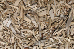 biomass boilers Bughtlin